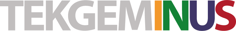 TEKGEMINUS